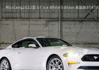 Mustang2022款 GT Ice White Edition 美国版拆车件