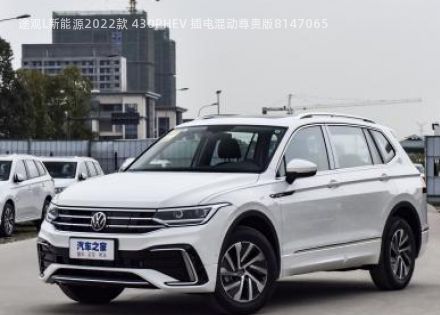 2022款 430PHEV 插电混动尊贵版