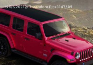 牧马人2021款 Tuscadero Pink拆车件
