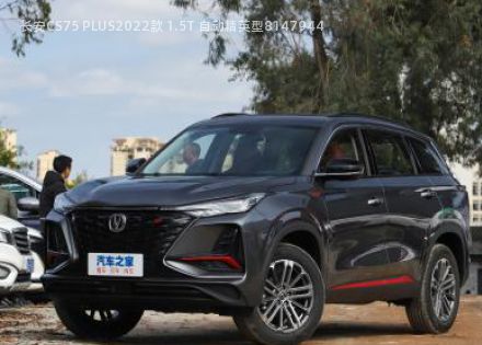 2022款 1.5T 自动精英型