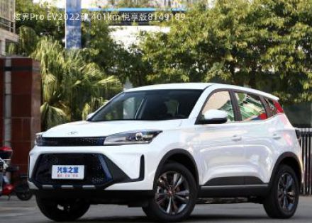 2022款 401km 悦享版拆车件客服台