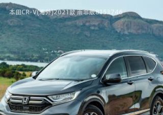 2021款 南非版