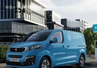 2022款 Hydrogen拆车件客服台