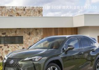 2021款 300e 澳大利亚版拆车件客服台