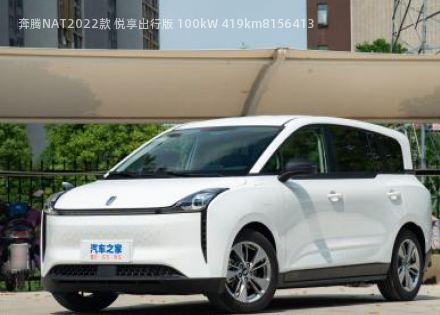 2022款 悦享出行版 100kW 419km