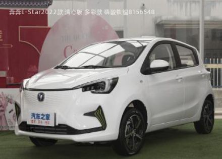 2022款 清心版 多彩款 磷酸铁锂拆车件客服台