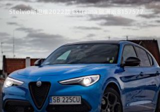 2022款 Estrema 欧洲版拆车件客服台