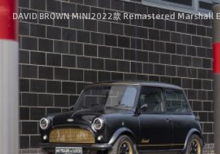 DAVID BROWN MINI2022款 Remastered Marshall Edition拆车件