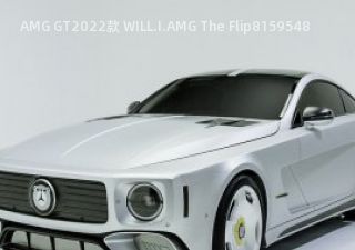 AMG GT2022款 WILL.I.AMG The Flip拆车件