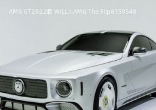 2022款 WILL.I.AMG The Flip