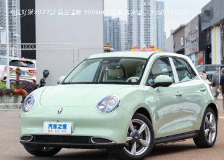 2022款 莫兰迪版 500km长续航 尊贵型 三元锂