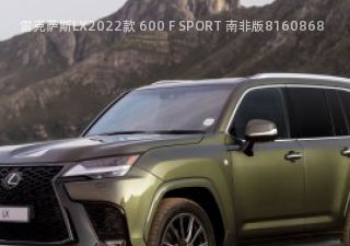 2022款 600 F SPORT 南非版