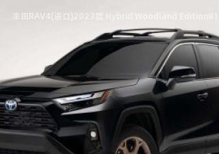 丰田RAV4(进口)2023款 Hybrid Woodland Edition拆车件