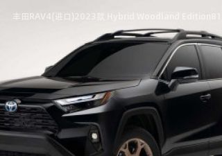 2023款 Hybrid Woodland Edition拆车件客服台