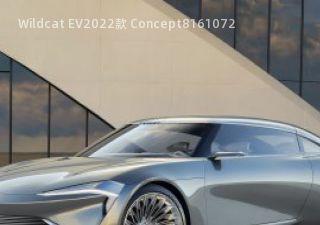 Wildcat EV2022款 Concept拆车件