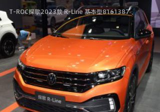 T-ROC探歌2023款 R-Line 基本型拆车件