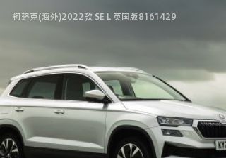 2022款 SE L 英国版拆车件客服台