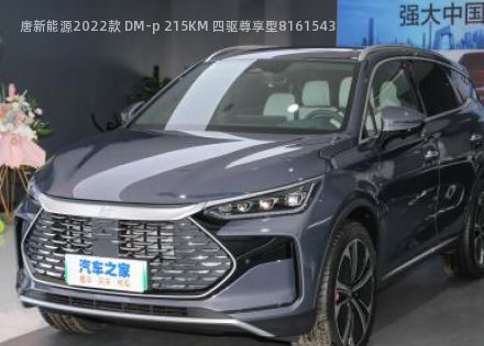 2022款 DM-p 215KM 四驱尊享型