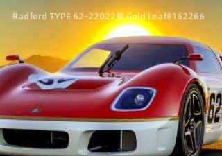 Radford TYPE 62-22022款 Gold Leaf拆车件