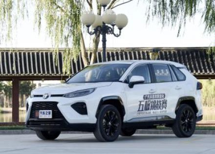 2022款 双擎 2.5L E-CVT两驱骑士版