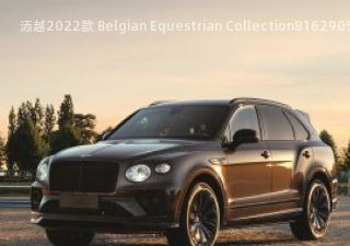 添越2022款 Belgian Equestrian Collection拆车件