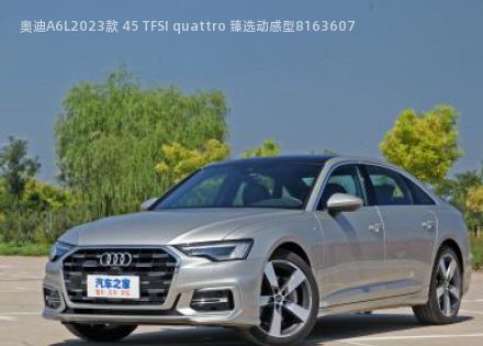 2023款 45 TFSI quattro 臻选动感型