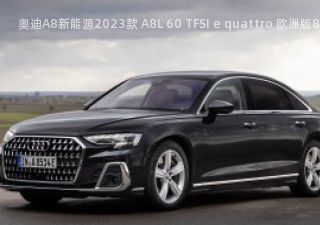 奥迪A8新能源2023款 A8L 60 TFSI e quattro 欧洲版拆车件