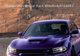 Charger2023款 Scat Pack Widebody拆车件