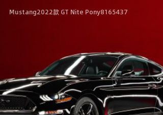 Mustang2022款 GT Nite Pony拆车件