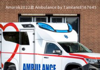 2022款 Ambulance by Tamlans拆车件客服台