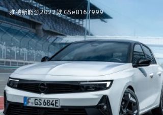 雅特新能源2022款 GSe拆车件