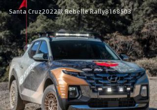 Santa Cruz2022款 Rebelle Rally拆车件
