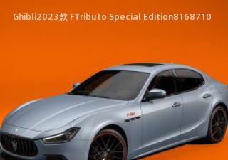 2023款 FTributo Special Edition
