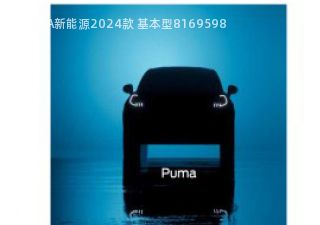 PUMA新能源2024款 基本型拆车件