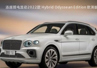 2022款 Hybrid Odyssean Edition 欧洲版拆车件客服台