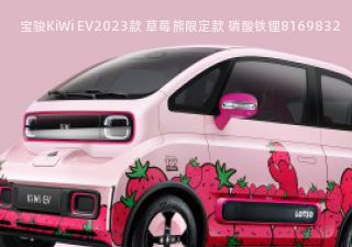 2023款 草莓熊限定款 磷酸铁锂拆车件客服台