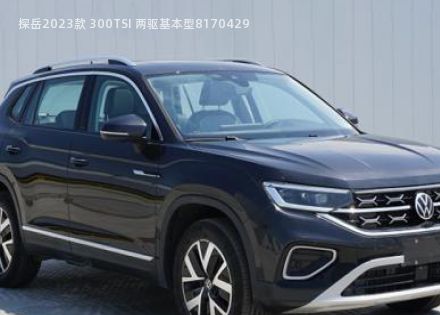 2023款 300TSI 两驱基本型