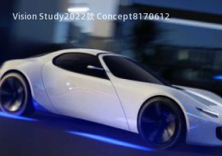 Vision Study2022款 Concept拆车件