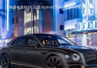 2022款 Hybrid The Surgeon拆车件客服台