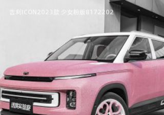 2023款 少女粉版拆车件客服台