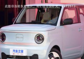 熊猫mini2023款 120km 超萌熊拆车件