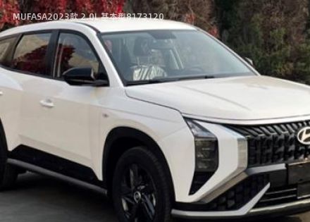 MUFASA2023款 2.0L 基本型拆车件