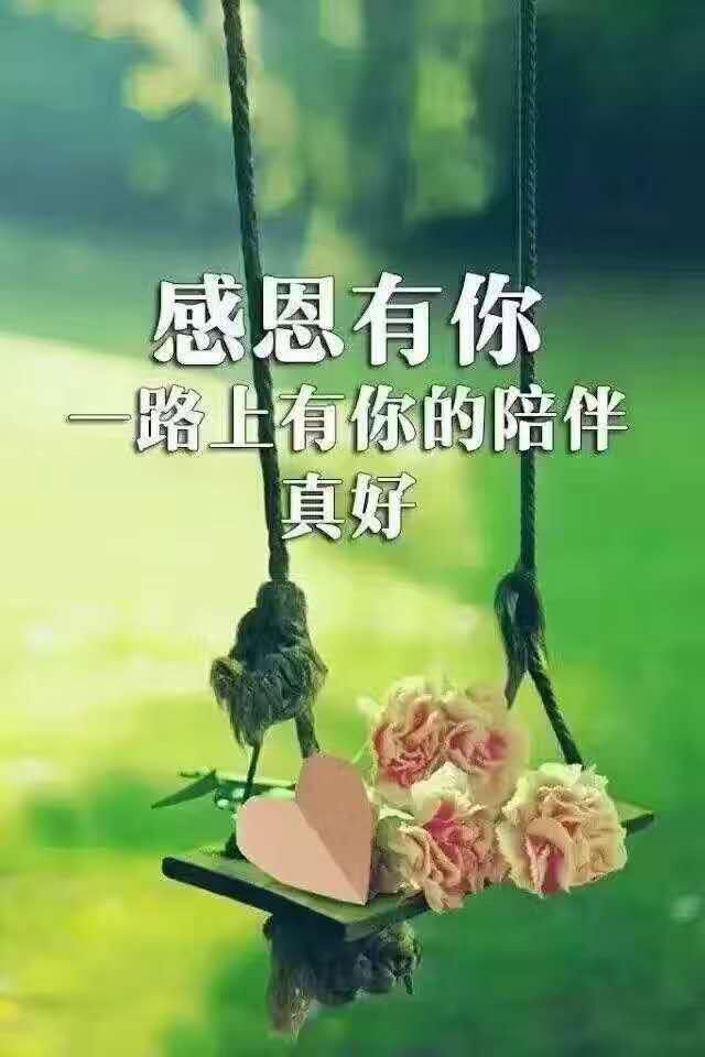 com/img/w/1900/154564017261.jpg