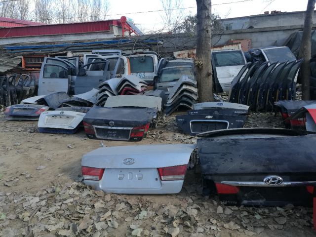 com/img/w/1900/15164899365.jpg