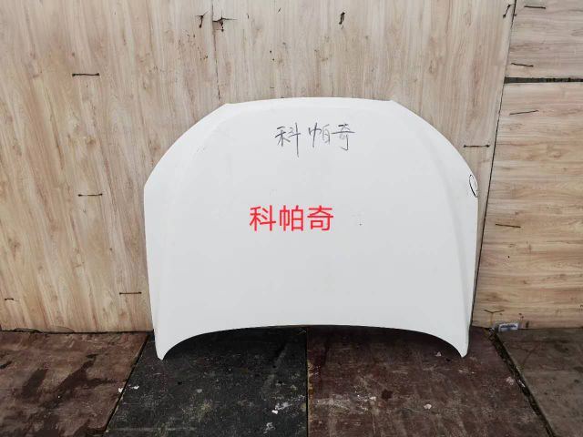 com/img/w/2102/010004312.jpg