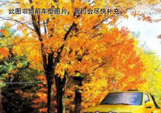 com/img/ty/813004019img.jpg