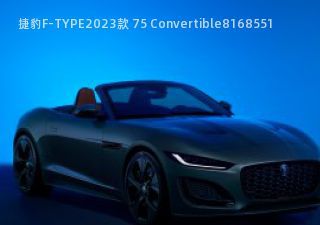 com/img/ty/813056184img.jpg