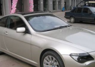 com/img/ty/813000350img.jpg