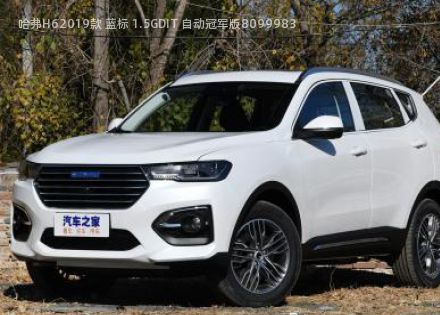 com/img/ty/813033328img.jpg