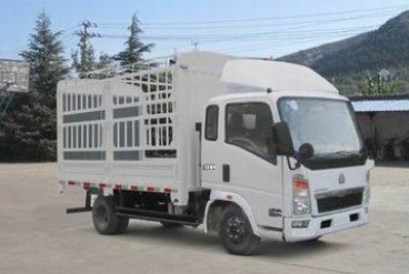 cn/img/type/23/4182_1.jpg